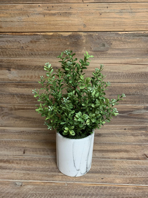 Potted Faux Flowering Boxwood