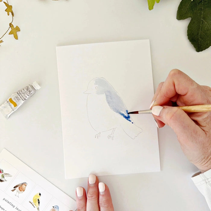 Paintable Watercolour Notecards - Birds
