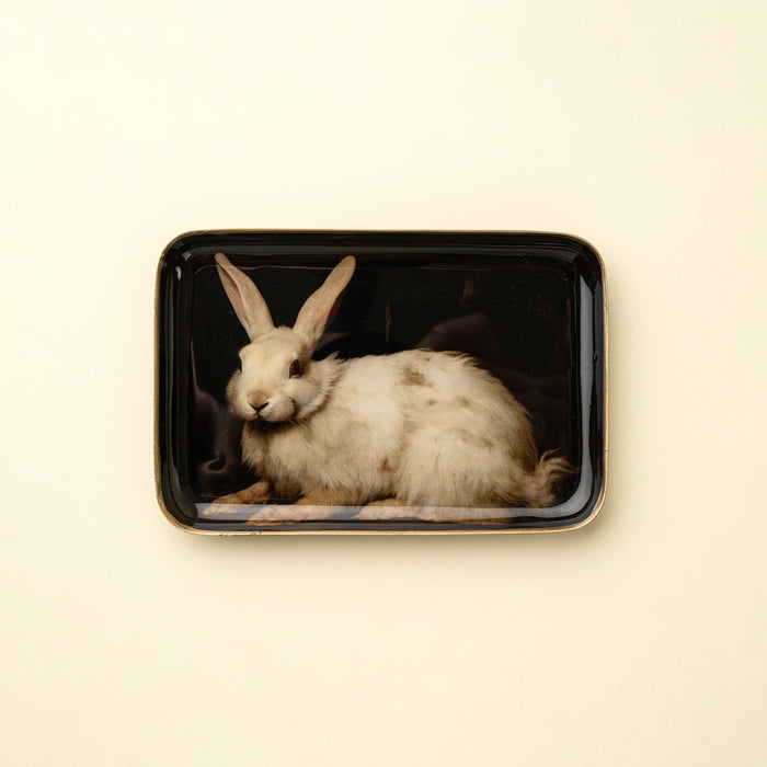 Decorative Enamel Tray Medium - White Hare