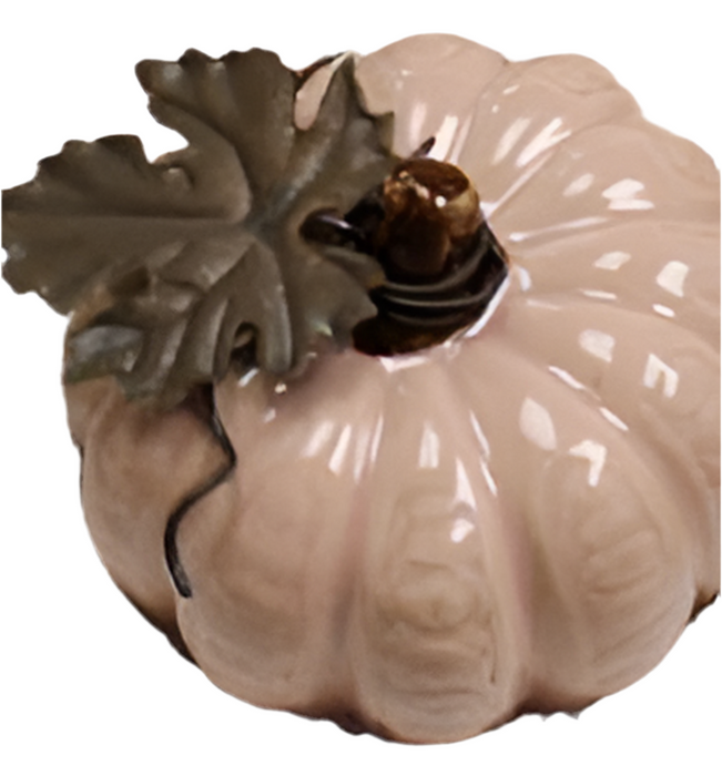 Assorted Pumpkin Tabletop Decor