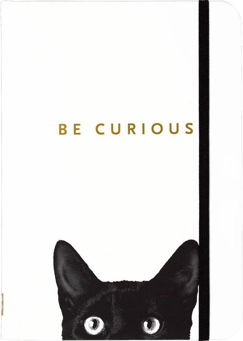 Small Notebook/Journal - Curious Cat