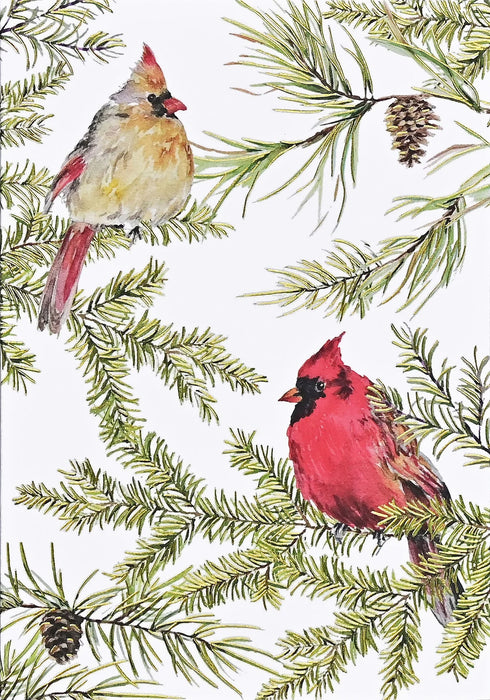 Boxed Christmas Cards - Cardinals
