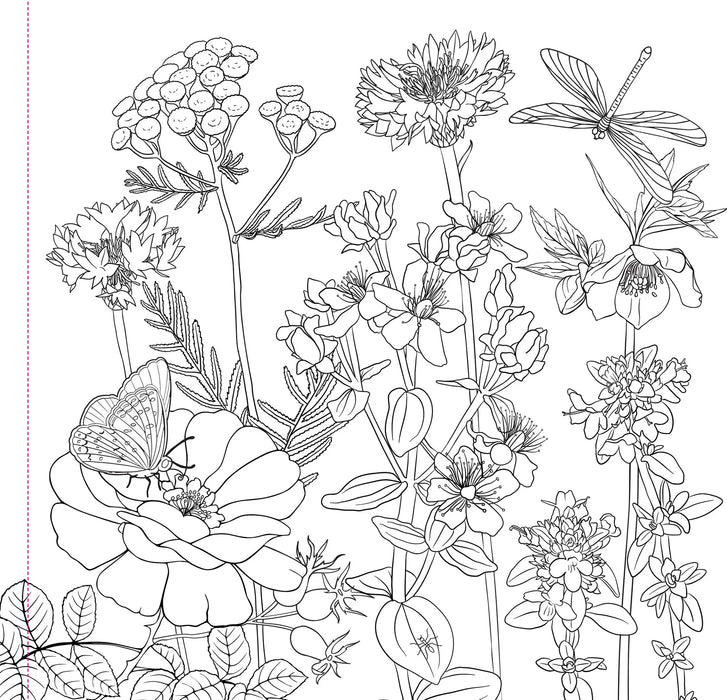 Wildflowers Adult colour Book
