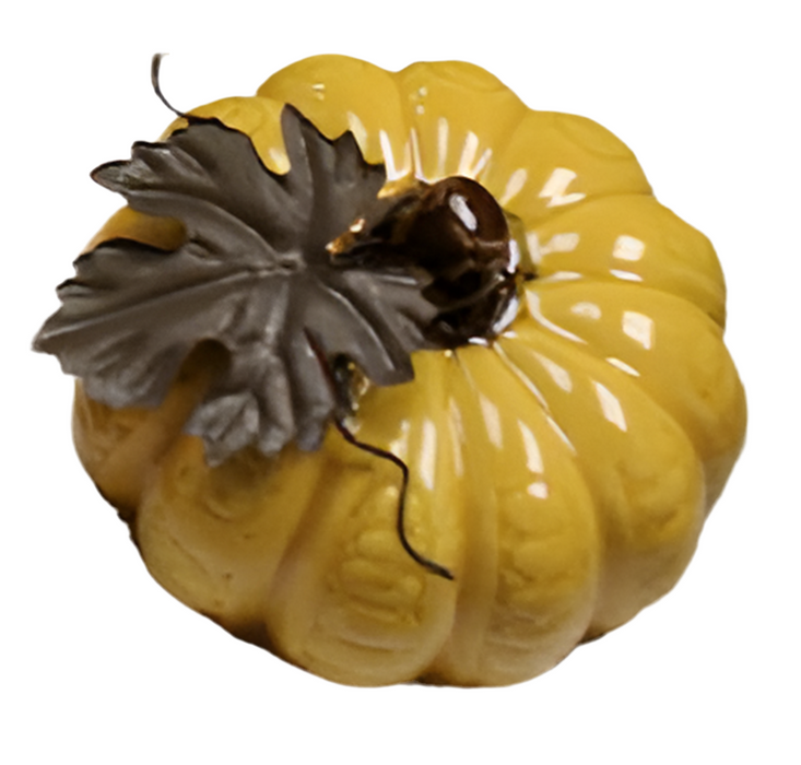 Assorted Pumpkin Tabletop Decor
