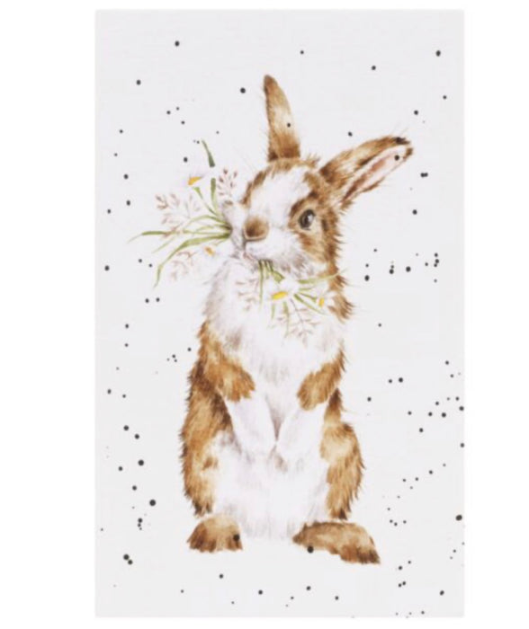 Notebook - All Ears Rabbit