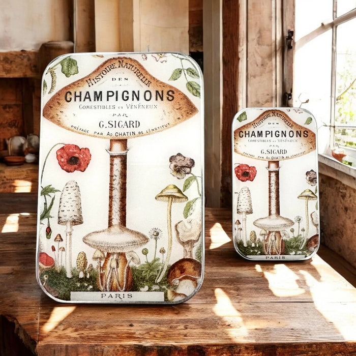 Notions Tin - Champignons