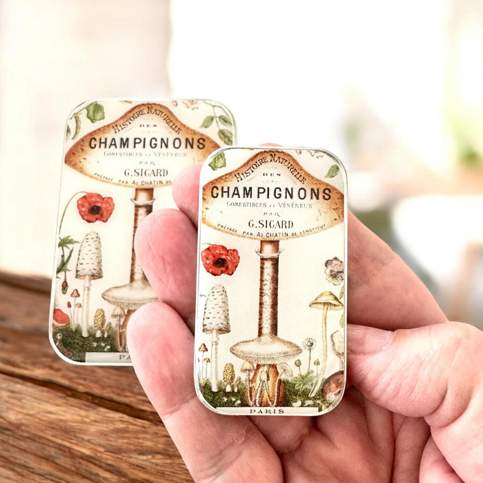 Notions Tin - Champignons