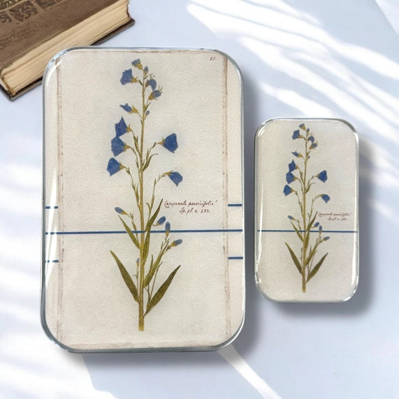 Notions Tin - Bellflower