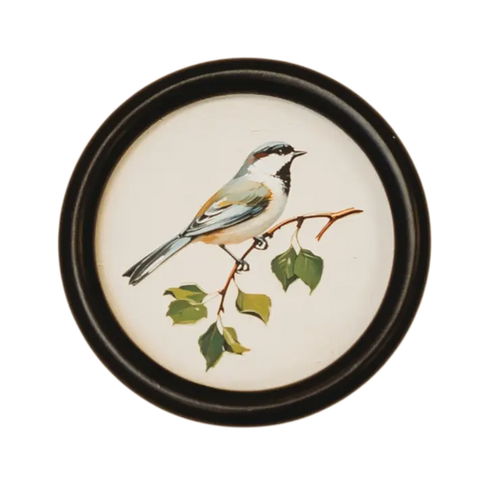 Wall Art - Song Bird