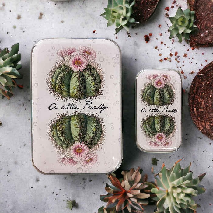 Notions Tin - Cactus