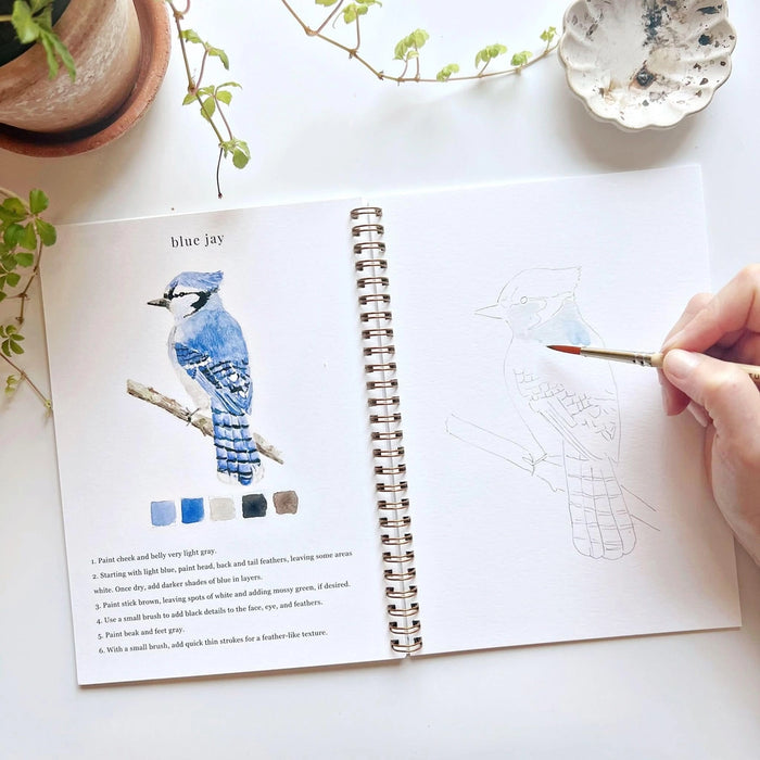 Watercolour Workbooks - Birds