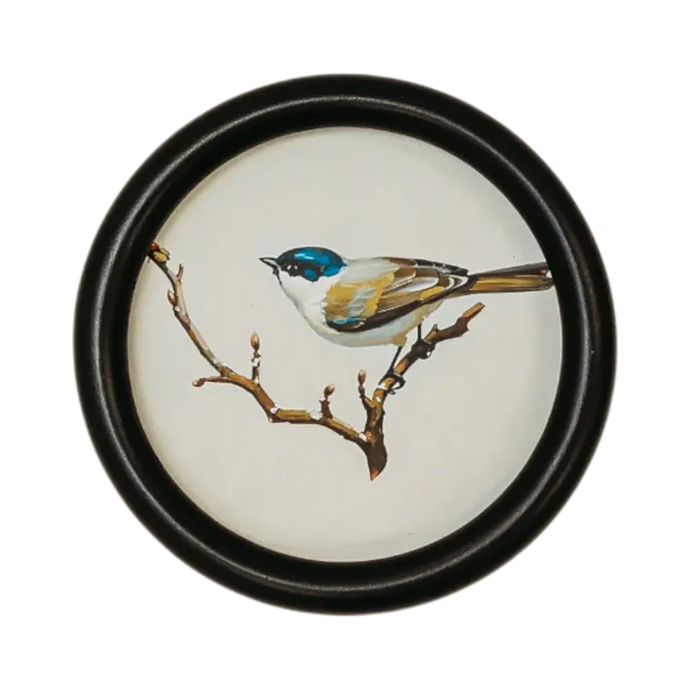 Wall Art - Song Bird