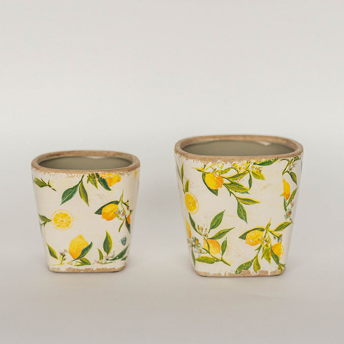 Floral Cement Planters - Lemons