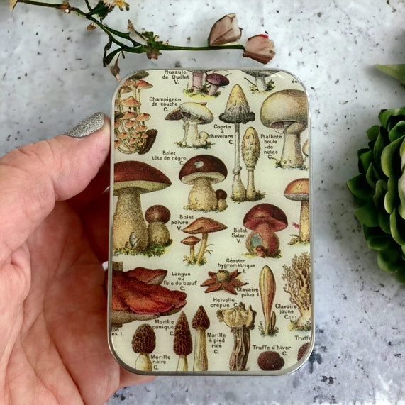 Notions Tin -Mushrooms
