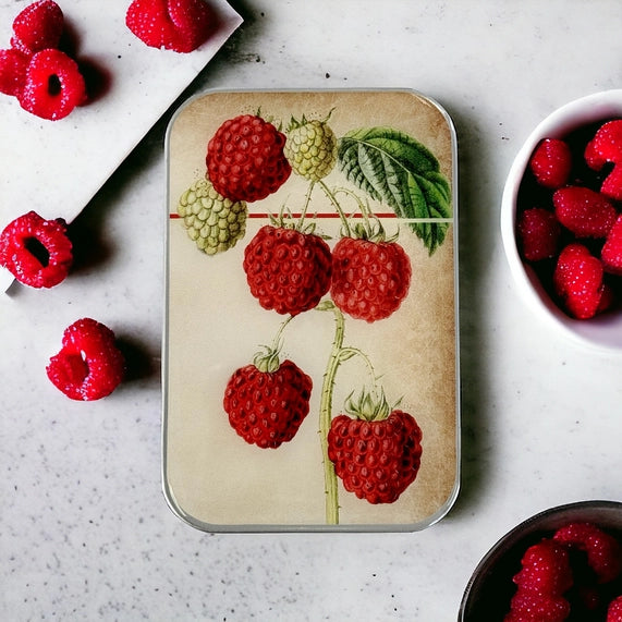 Notions Tin -Raspberries