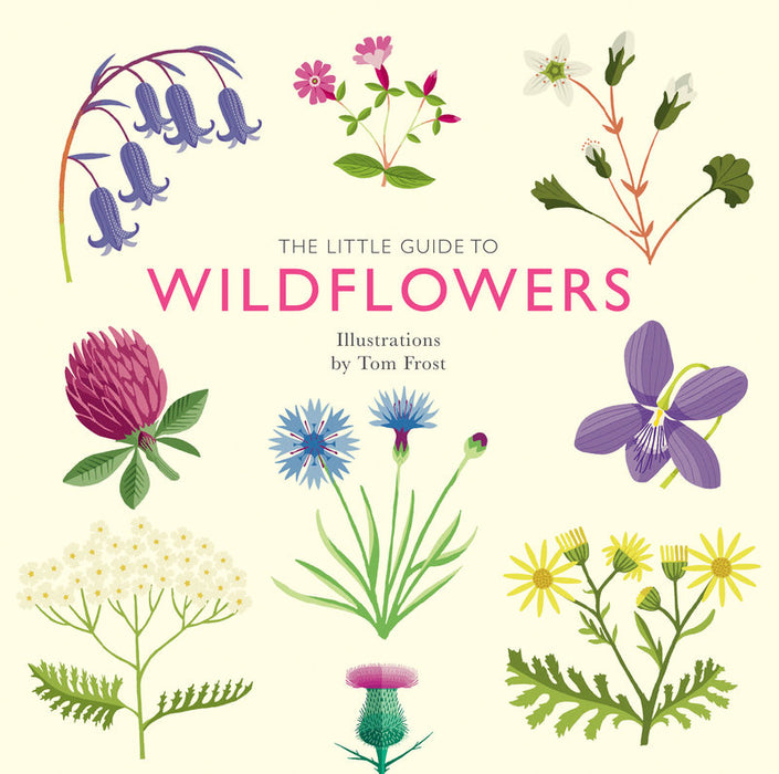 Book - Little Guide to Wildflowers