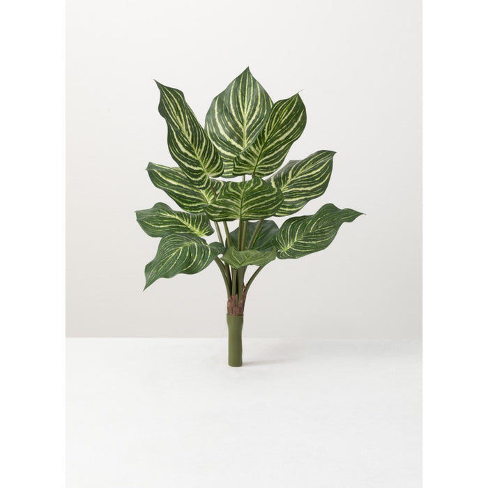 Faux Chinese Evergreen Bush