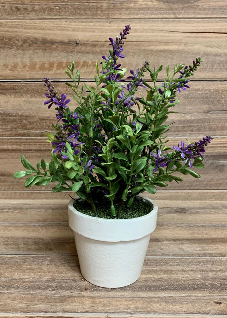 Potted Faux Sweet Veronica Bush