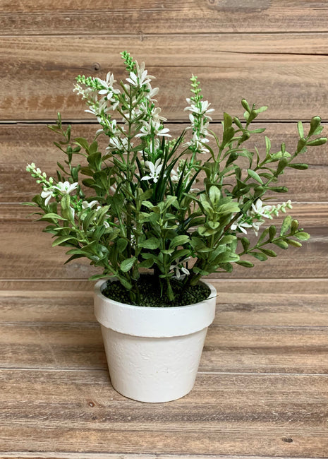 Faux Potted Sweet Veronica