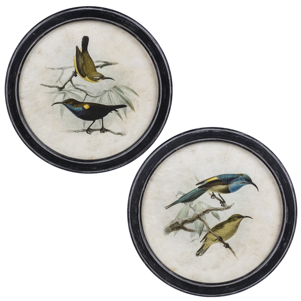 Picture - Round Framed Birds