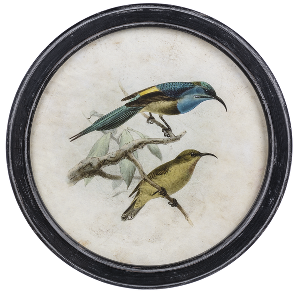 Picture - Round Framed Birds