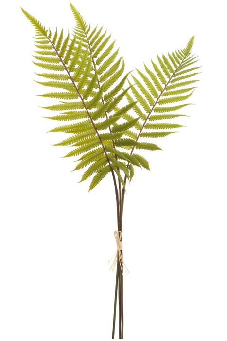 Faux Fern Bundle