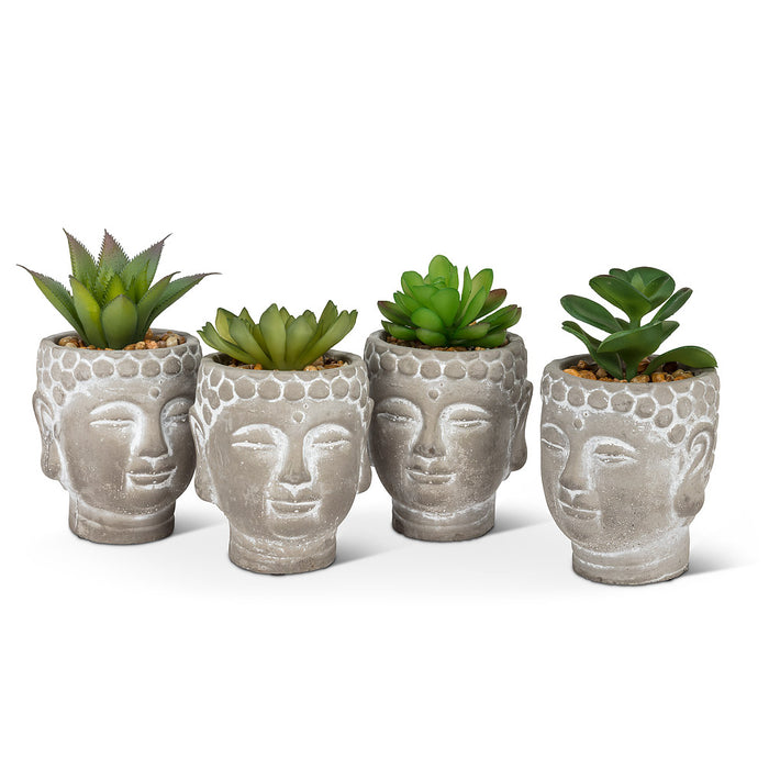 Cement Head Planter with Succulent