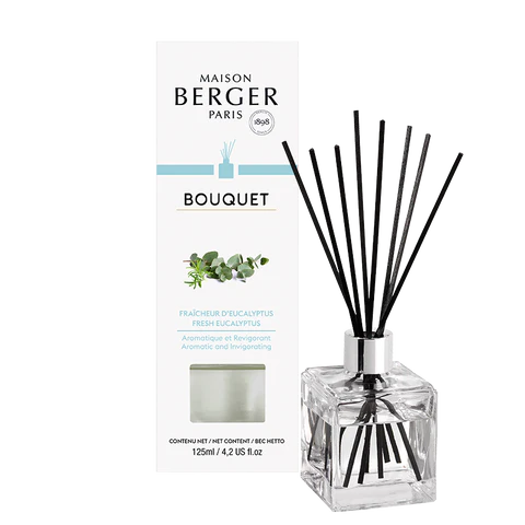 Maison Berger - Fresh Eucalyptus Reed Diffuser Set