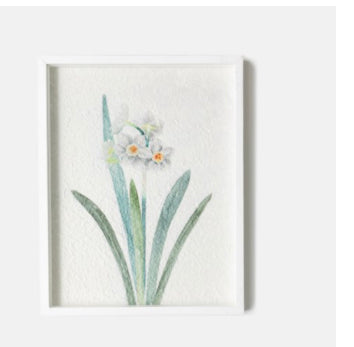 Botanical Framed Artwork