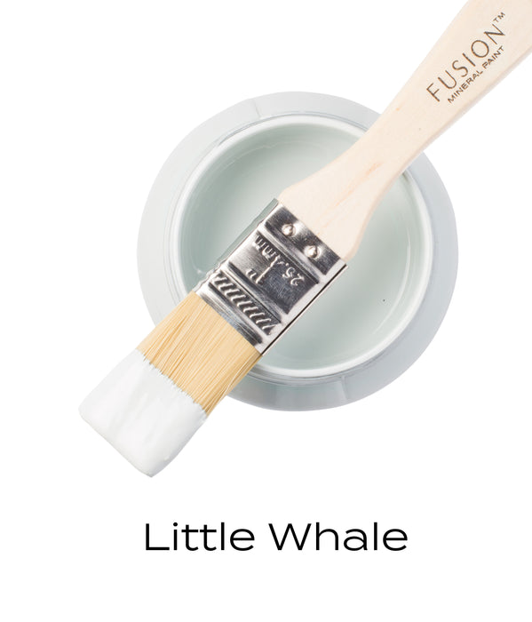 Fusion Paint - Little Whale