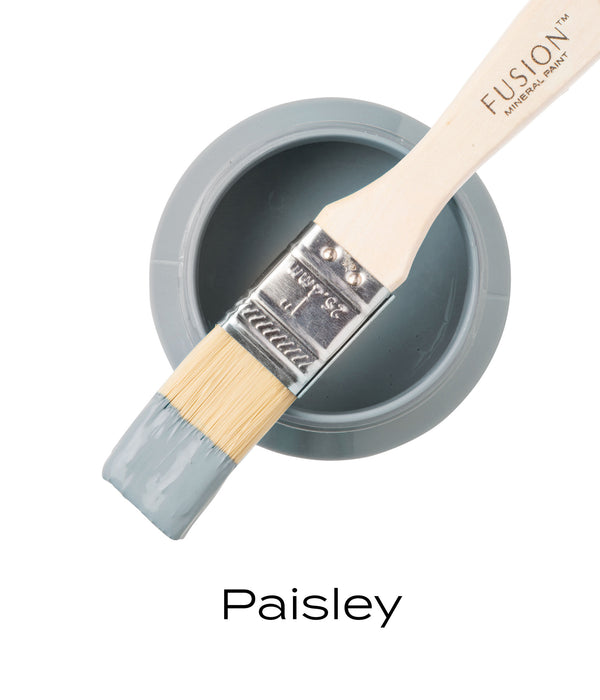 Fusion Paint - Paisley