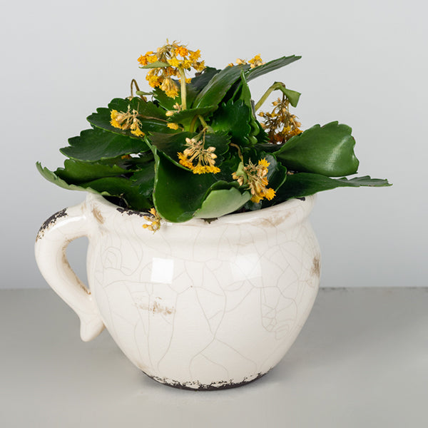 Ceramic Planter - vintage style